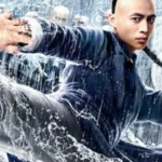 Fearless Kungfu King (2020) จอมคนผงาดโลก